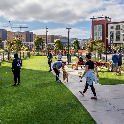 News + Announcements