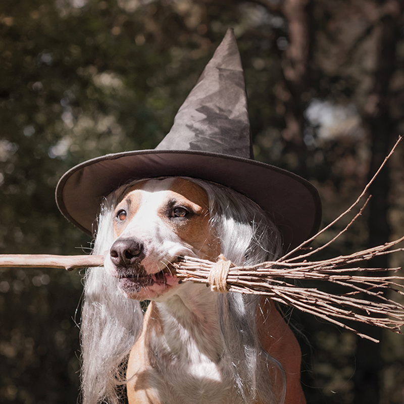 Events at Mission Bay Parks