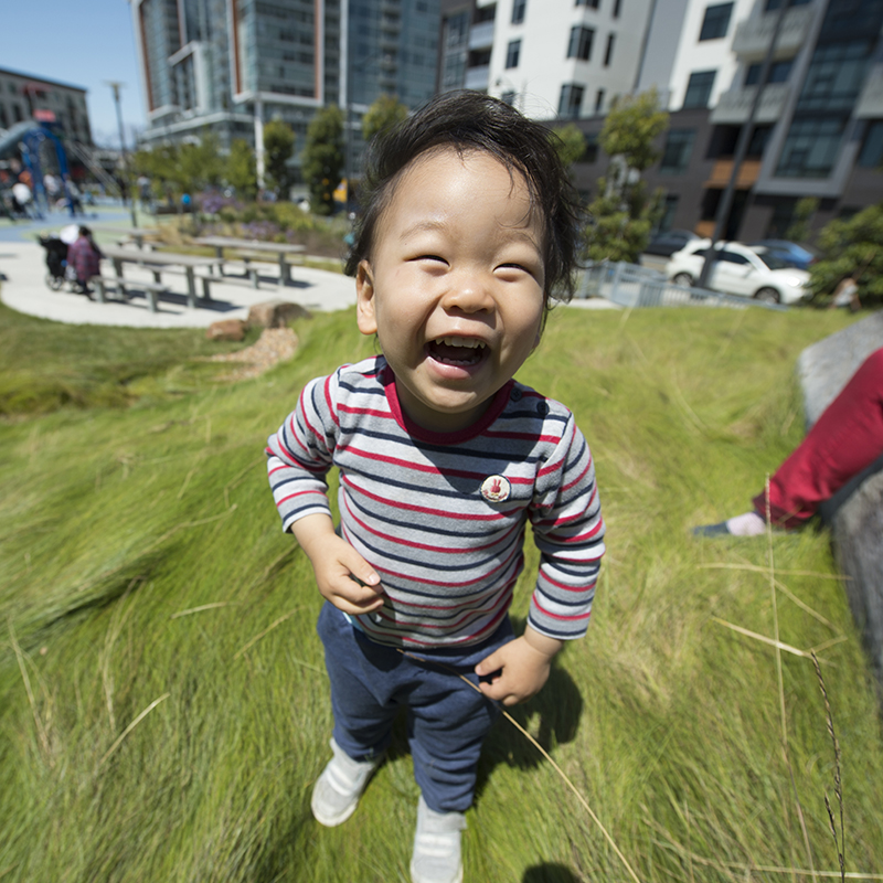 Parks at Mission Bay Parks