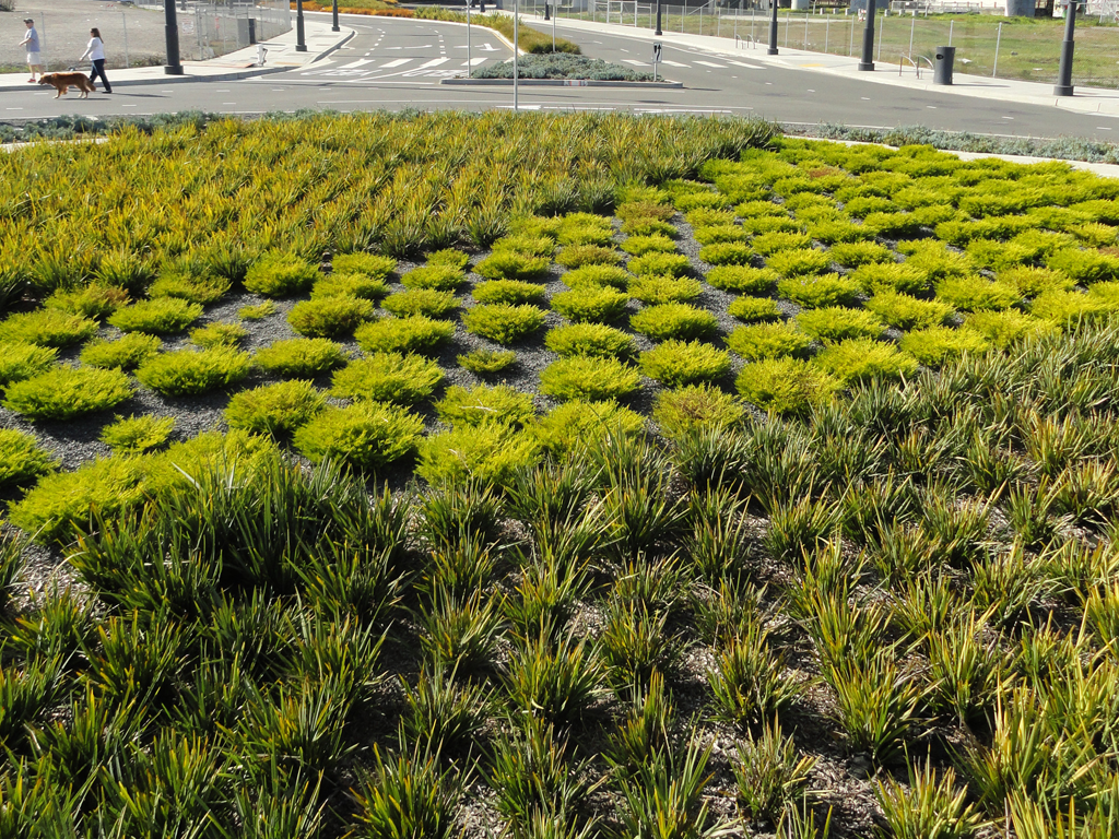 Traffic Circle | Mission Bay Parks
