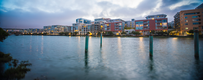 Wildlife | Mission Bay Parks