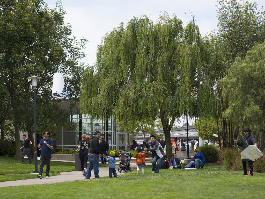 Beautiful Public Parks in San Francisco